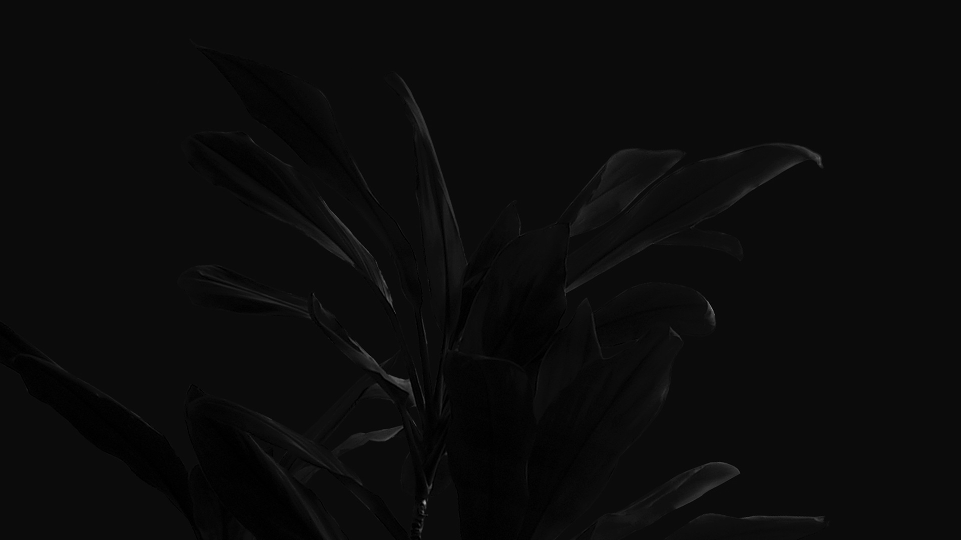 Your Image Description